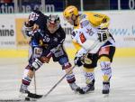 Photo hockey match Grenoble  - Strasbourg  le 13/01/2009