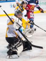 Photo hockey match Grenoble  - Strasbourg  le 27/12/2016