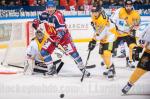Photo hockey match Grenoble  - Strasbourg  le 27/12/2016