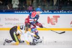 Photo hockey match Grenoble  - Strasbourg  le 27/12/2016