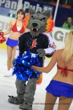 Photo hockey match Grenoble  - Strasbourg  le 03/03/2009