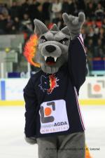 Photo hockey match Grenoble  - Strasbourg  le 03/03/2009