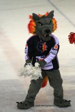 Photo hockey match Grenoble  - Strasbourg  le 04/03/2009