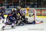Photo hockey match Grenoble  - Strasbourg  le 04/03/2009