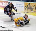 Photo hockey match Grenoble  - Strasbourg  le 04/03/2009
