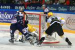 Photo hockey match Grenoble  - Strasbourg  le 18/09/2010