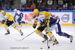 Photo hockey match Grenoble  - Strasbourg  le 24/09/2011