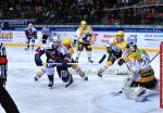Photo hockey match Grenoble  - Strasbourg  le 22/01/2013
