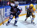 Photo hockey match Grenoble  - Strasbourg  le 22/01/2013