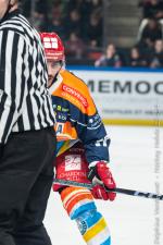 Photo hockey match Grenoble  - Zemgale  le 17/11/2023