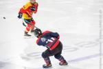 Photo hockey match Grenoble / Féminin - Montpellier le 21/01/2023