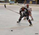 Photo hockey match La Roche-sur-Yon - Amnville le 20/09/2014