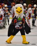 Photo hockey match La Roche-sur-Yon - Amnville le 20/09/2014