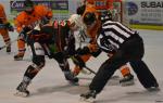 Photo hockey match La Roche-sur-Yon - Boulogne Billancourt le 28/02/2015