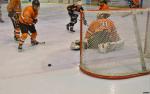Photo hockey match La Roche-sur-Yon - Boulogne Billancourt le 28/02/2015