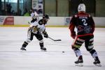Photo hockey match La Roche-sur-Yon - Dammarie-les-Lys le 07/05/2023