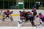Photo hockey match La Roche-sur-Yon - Paris (FV) le 01/05/2010