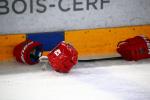 Photo hockey match Lausanne - Langnau le 24/03/2018