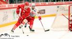Photo hockey match Lausanne - Rapperswil-Jona le 28/01/2020