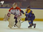 Photo hockey match Limoges - Bordeaux le 21/11/2017