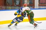 Photo hockey match Limoges - Cergy-Pontoise le 12/03/2016