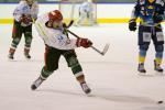 Photo hockey match Limoges - Cergy-Pontoise le 12/03/2016