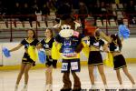 Photo hockey match Limoges - Clermont-Ferrand le 21/02/2015