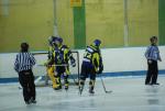 Photo hockey match Limoges - Niort le 06/03/2010