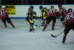 Photo hockey match Limoges - Niort le 06/03/2010