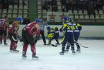 Photo hockey match Limoges - Niort le 06/03/2010
