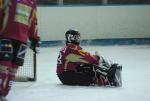 Photo hockey match Limoges - Niort le 06/03/2010