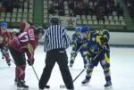 Photo hockey match Limoges - Niort le 06/03/2010