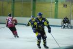Photo hockey match Limoges - Niort le 06/03/2010