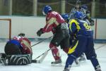 Photo hockey match Limoges - Niort le 06/03/2010
