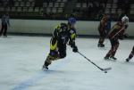 Photo hockey match Limoges - Niort le 06/03/2010