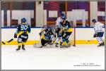 Photo hockey match Limoges - Paris (FV) le 27/02/2016