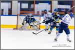 Photo hockey match Limoges - Paris (FV) le 27/02/2016