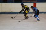 Photo hockey match Limoges - Tours  le 26/03/2011