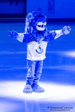 Photo hockey match Lyon - Angers  le 23/12/2016