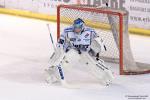Photo hockey match Lyon - Brest  le 16/01/2015