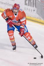 Photo hockey match Lyon - Dijon  le 10/01/2015