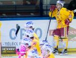 Photo hockey match Lyon - Dijon  le 12/01/2016