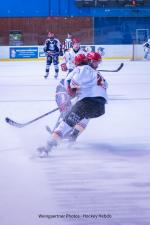 Photo hockey match Lyon - Meudon le 29/10/2025