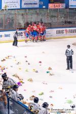 Photo hockey match Lyon - Rouen le 12/12/2014