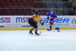 Photo hockey match Lyon - Strasbourg  le 28/10/2018