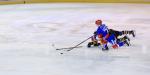 Photo hockey match Lyon - Strasbourg  le 06/12/2018