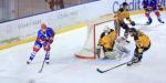 Photo hockey match Lyon - Strasbourg  le 22/03/2019