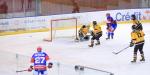 Photo hockey match Lyon - Strasbourg  le 22/03/2019