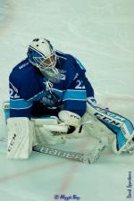 Photo hockey match Marseille - Limoges le 28/10/2017