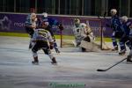 Photo hockey match Marseille - Mont-Blanc le 04/03/2017